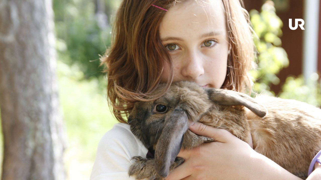 Me and my pet My rabbit UR Play