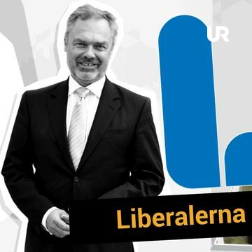 Lilla Aktuellt Teckensprak Valet Liberalerna Ur Play