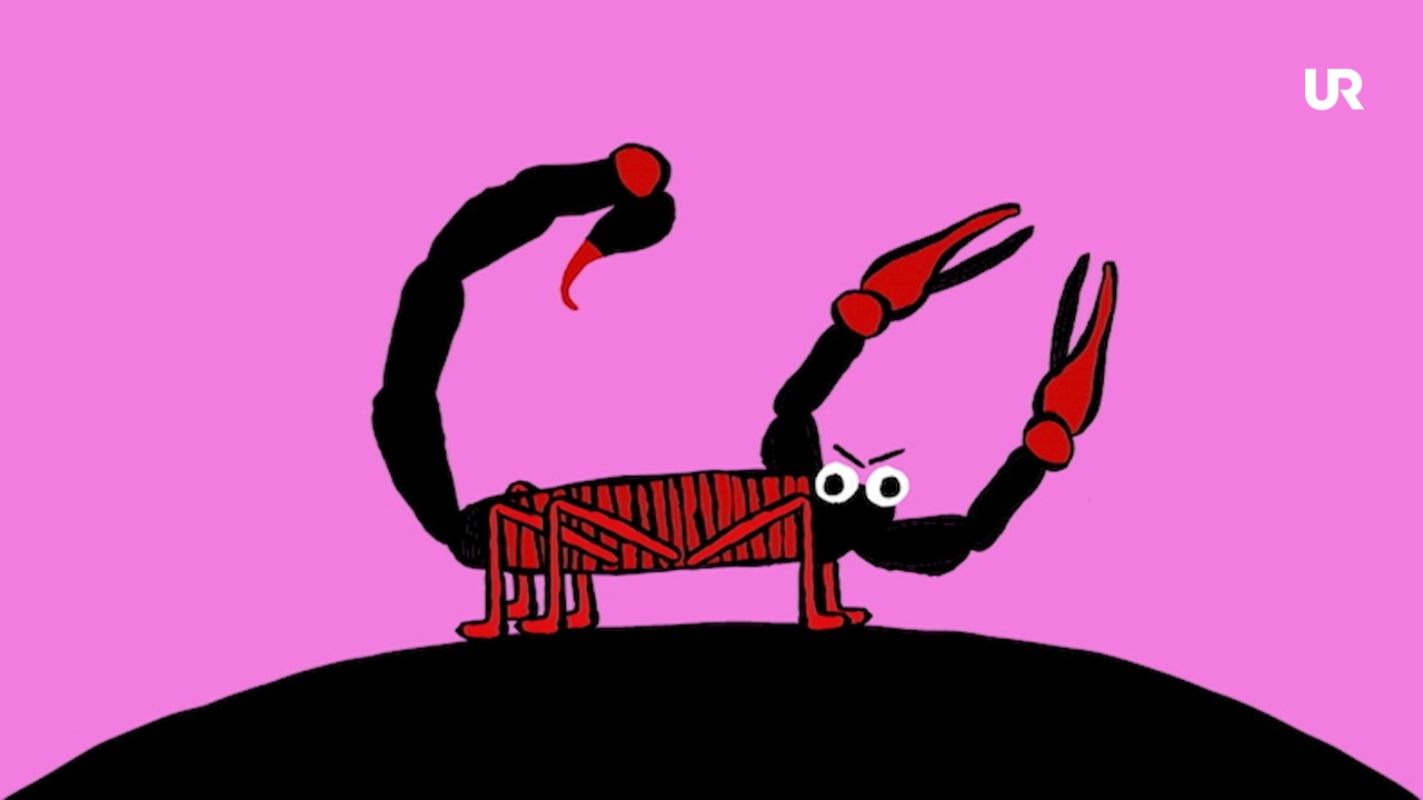 Rezina qogirchoq bilan jinsiy aloqa video