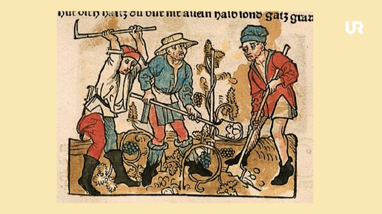 Крестьянин и его дети басня эзопа. Басня крестьянин и его сыновья эзоп. Иллюстрация к басне крестьянин и его сыновья эзоп. Крестьянин и его сыновья басня. Басня земледелец и его сыновья лафонтен.