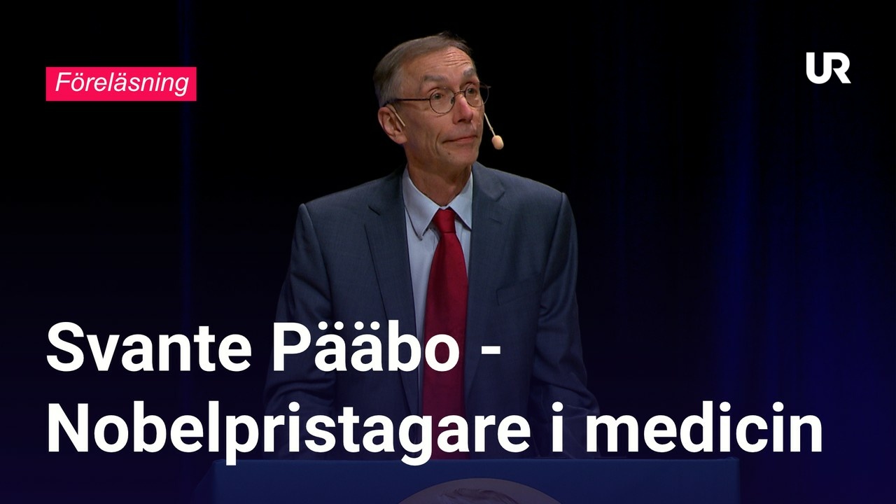 Nobelföreläsningar 2022 Svante Pääbo Nobelpristagare i medicin UR Play