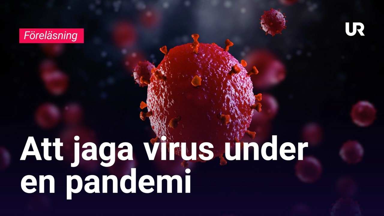NMTdagarna 2023 Att jaga virus under en pandemi UR Play