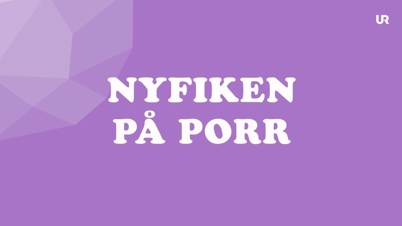 Vi Förklarar Sexualitet Samtycke Och Relationer Nyfiken På Porr Ur Play