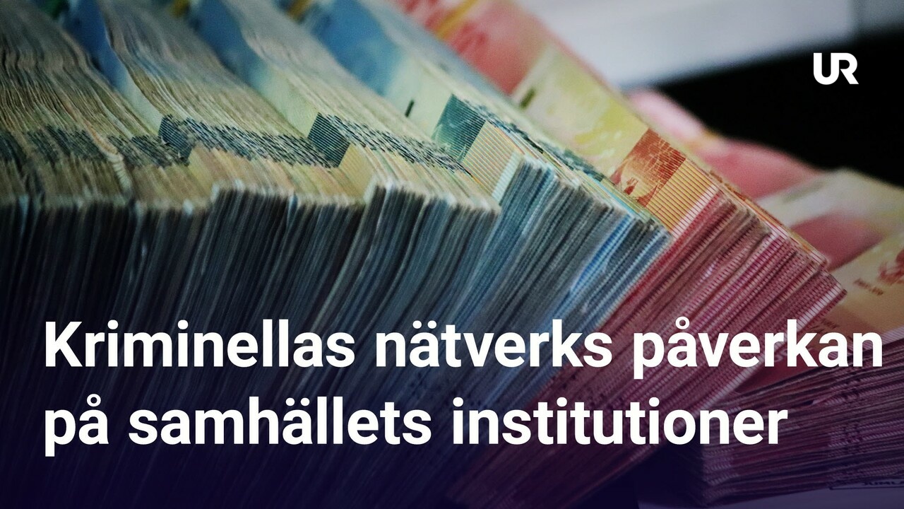 En Kv ll Om Vetenskap 2024 Kriminella N tverks P verkan P Samh llets en-kv-ll-om-vetenskap-2024-kriminella-n-tverks-p-verkan-p-samh-llets